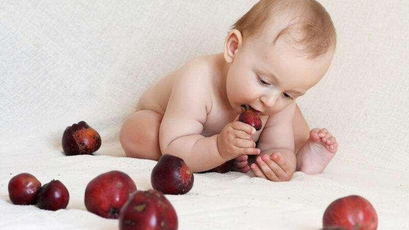 Miser Sur Les Atouts D Un Babycook Pour Diversifier L Alimentation De Bebe