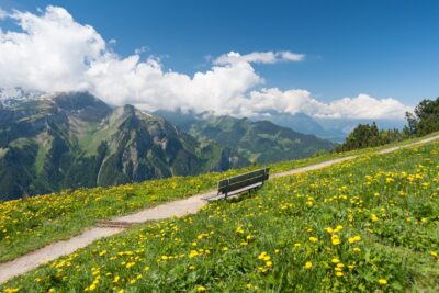 les alpes suisses, un beau banc en printemps, vignette suisse