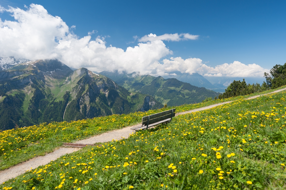 les alpes suisses, un beau banc en printemps, vignette suisse