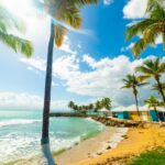 Découvrez la Guadeloupe autrement : votre guide de voyage idéal