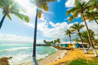 decouvrez la guadeloupe autrement votre guide de voyage ideal. Une plage se dable magnifique avec palmiers et mer bleue calme