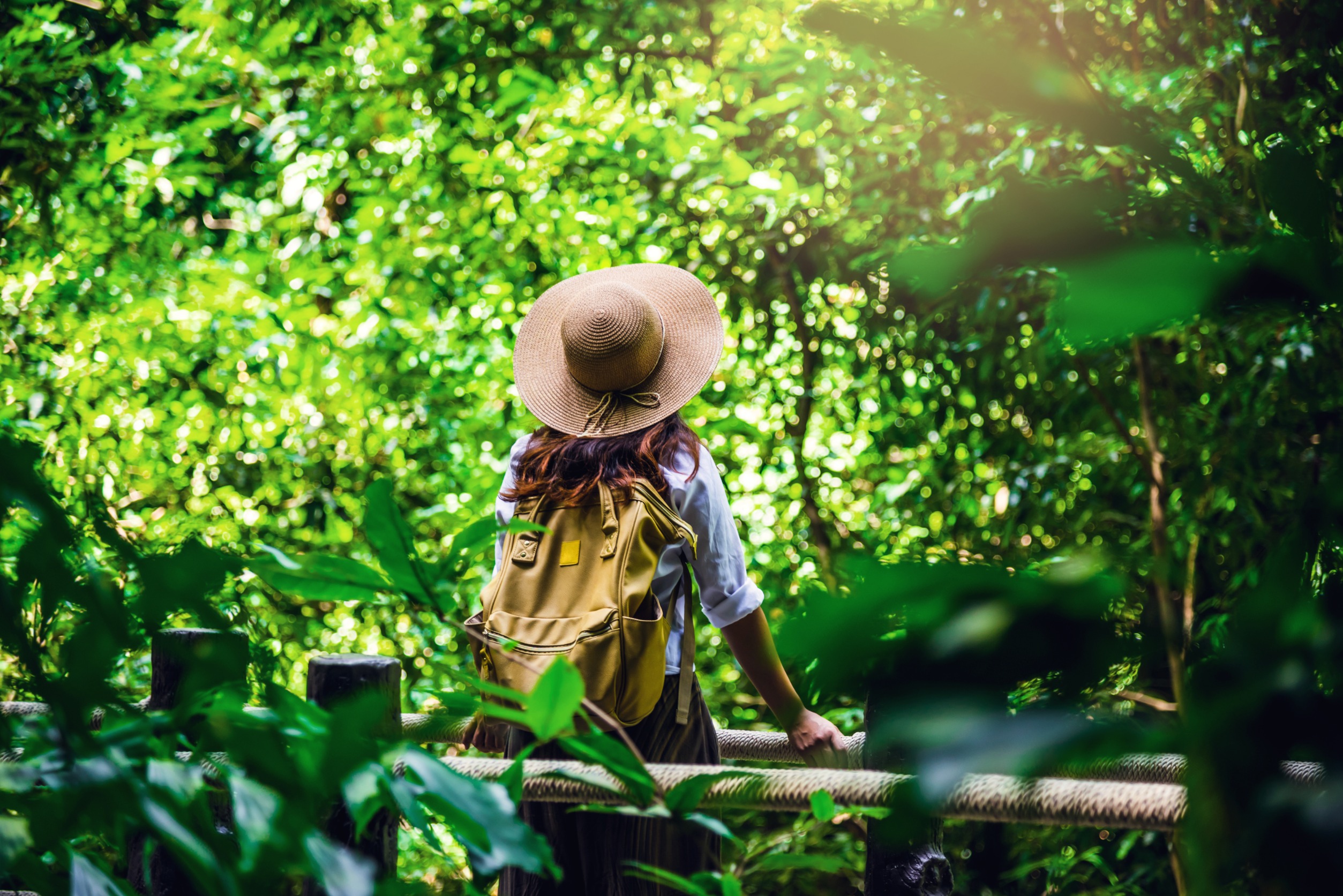 Une femme en chapeau de dos avec un sac en plein defi nature au milieu dune foret